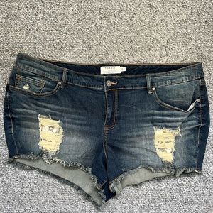 Torrid Distressed Denim with Lace detail shorts